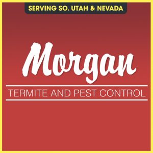 Morgan Termite and Pest Control